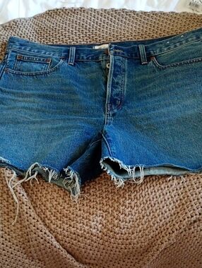 Madewell Blue Denim Jean Shorts The Long Brynn Style